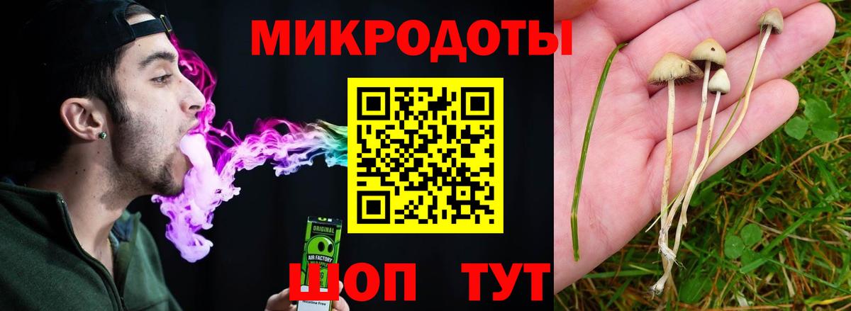 Менделеевск  Галлюциногенные грибы Cubensis  Галлюциногенные грибы мицелий  Вход с VPN 